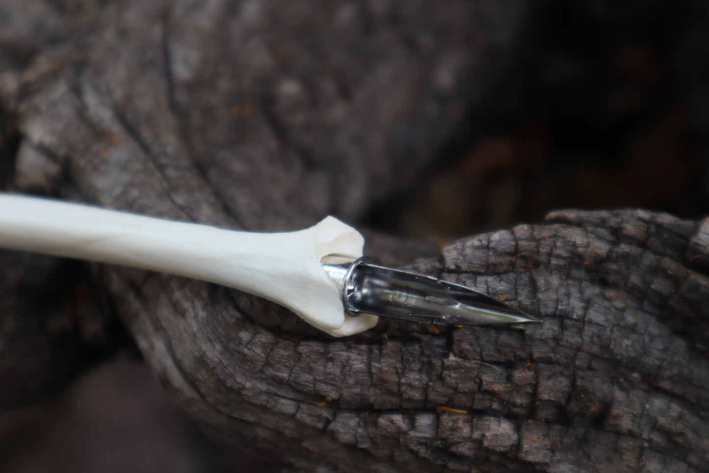 Red Fox Bone Calligraphy Pen