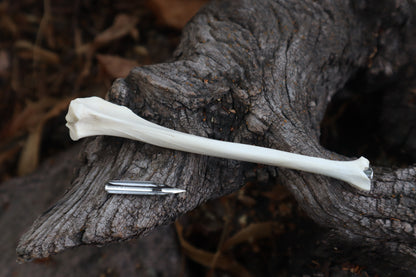 Red Fox Bone Calligraphy Pen