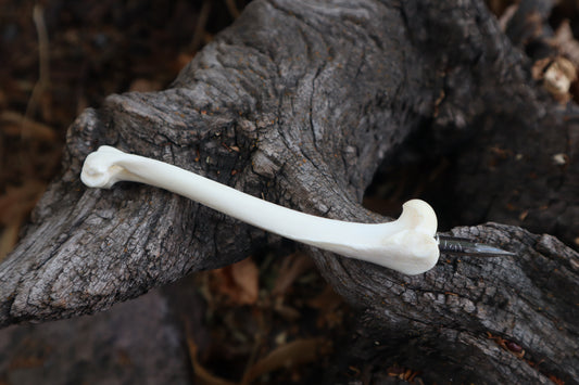 Red Fox Bone Calligraphy Pen