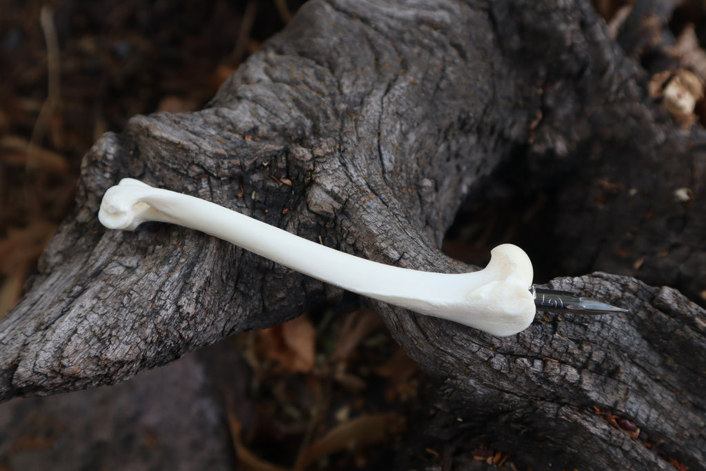 Red Fox Bone Calligraphy Pen