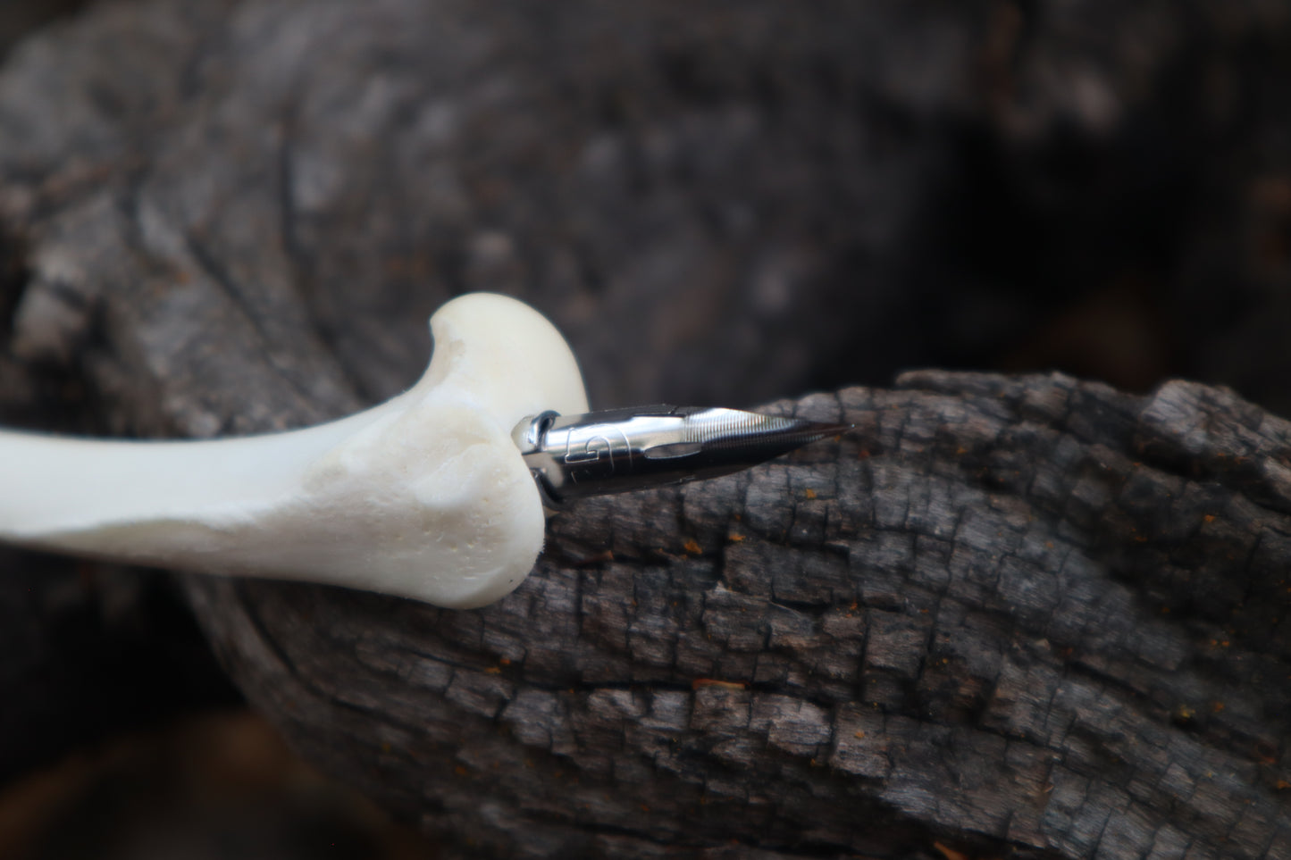 Red Fox Bone Calligraphy Pen