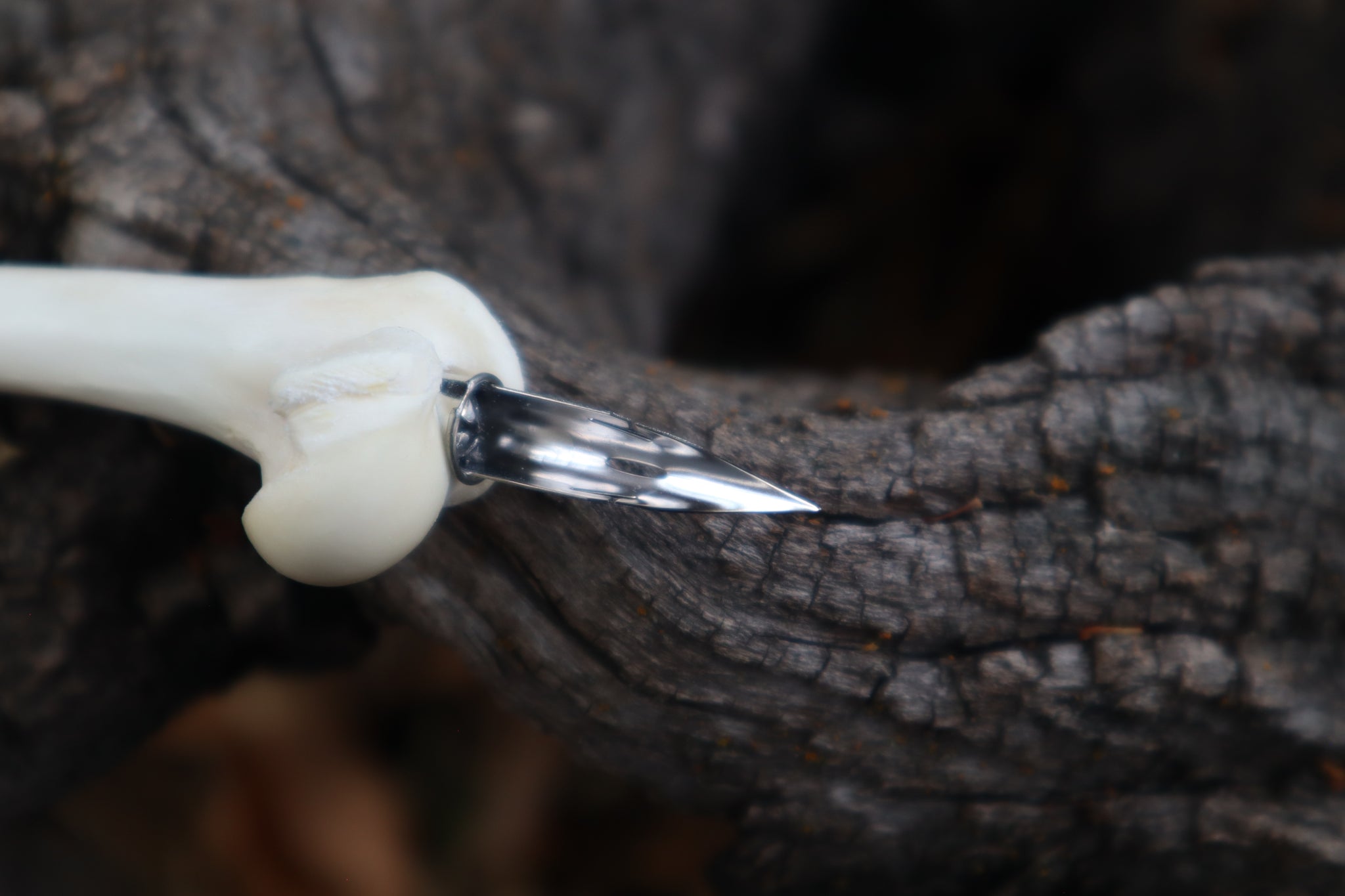 Red Fox Bone Calligraphy Pen