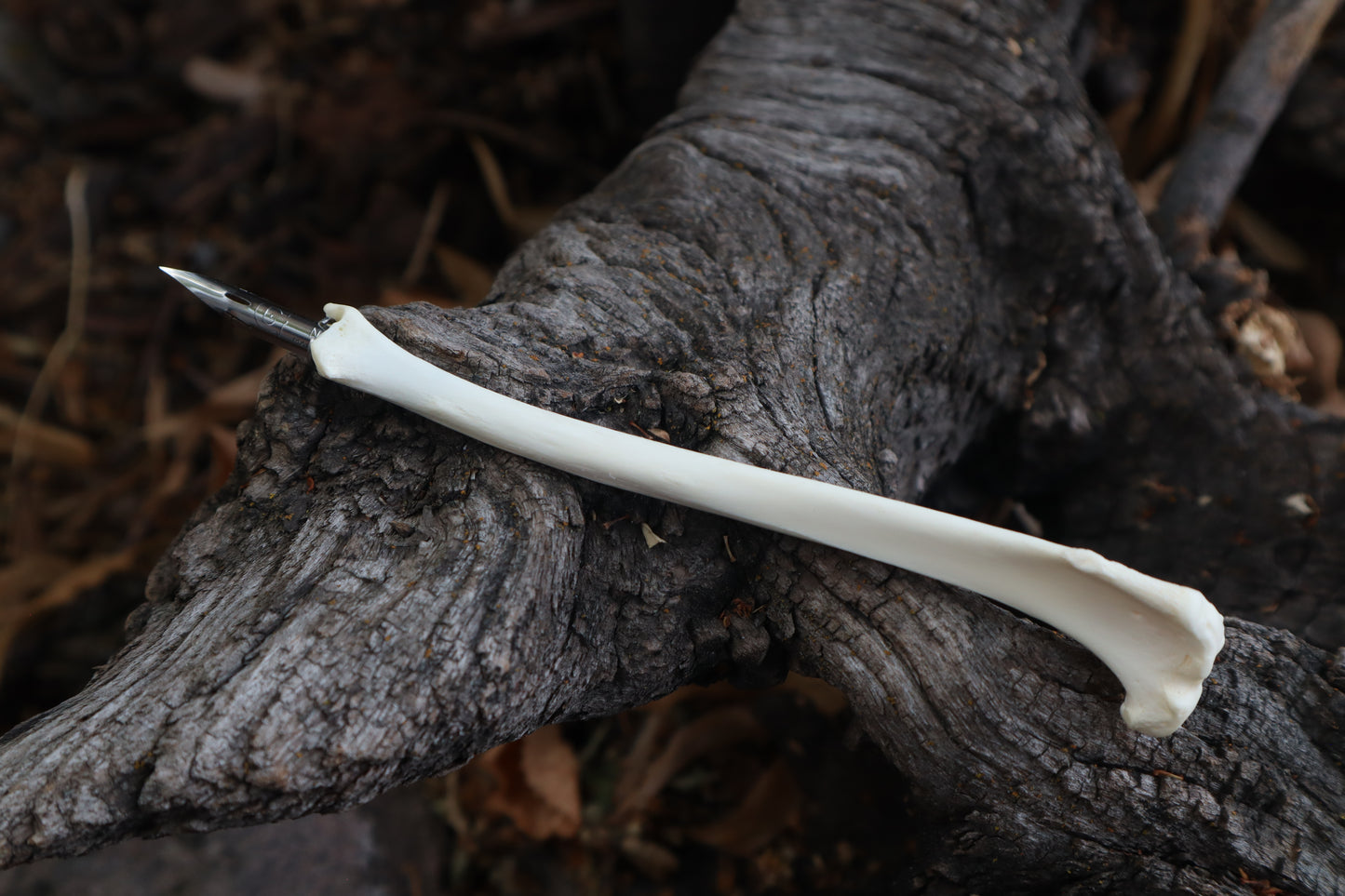 Red Fox Bone Calligraphy Pen
