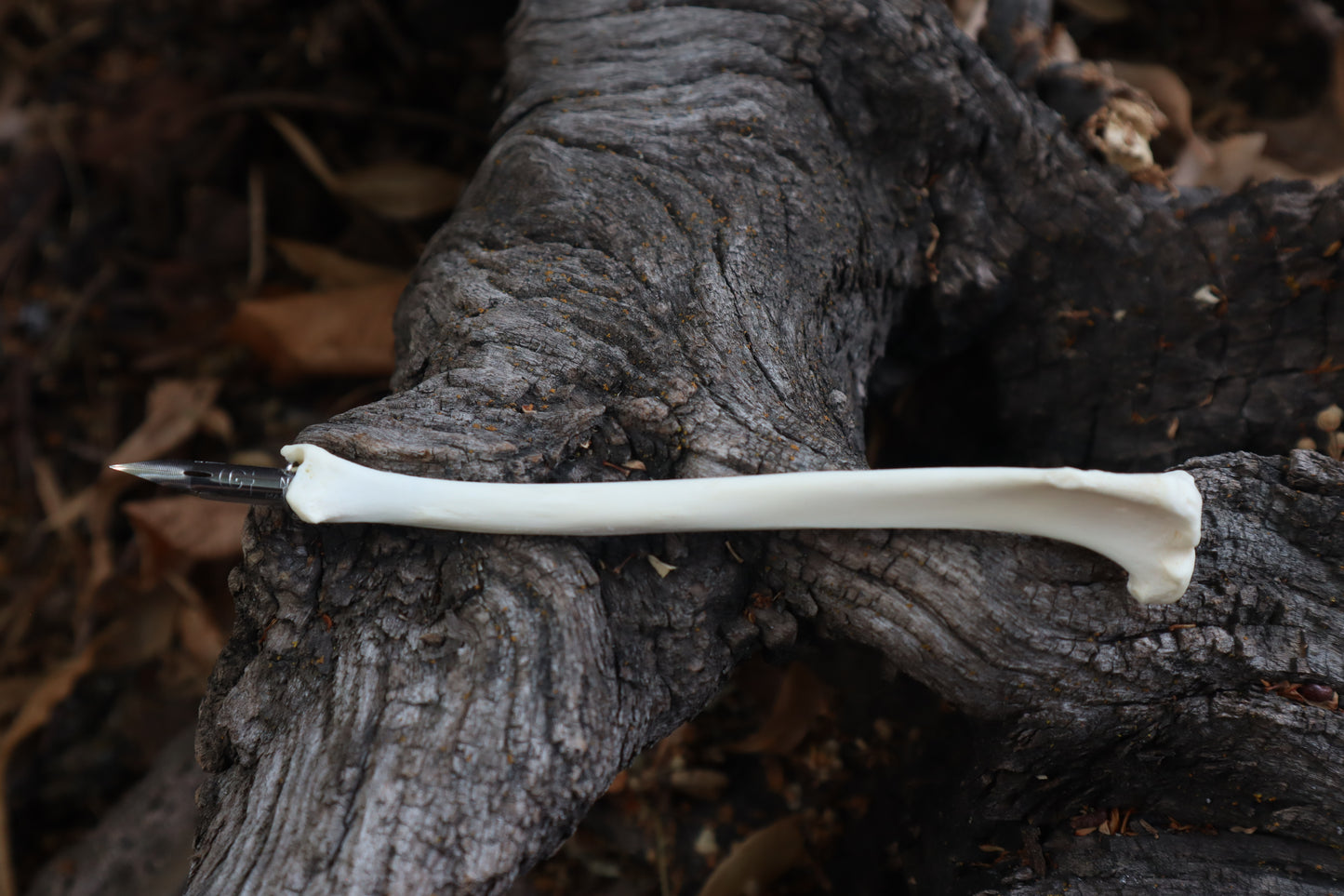 Red Fox Bone Calligraphy Pen