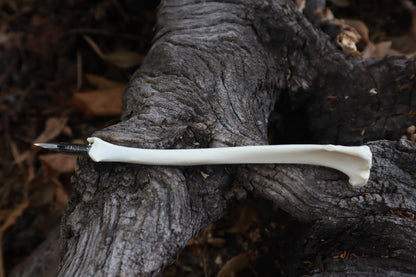 Red Fox Bone Calligraphy Pen