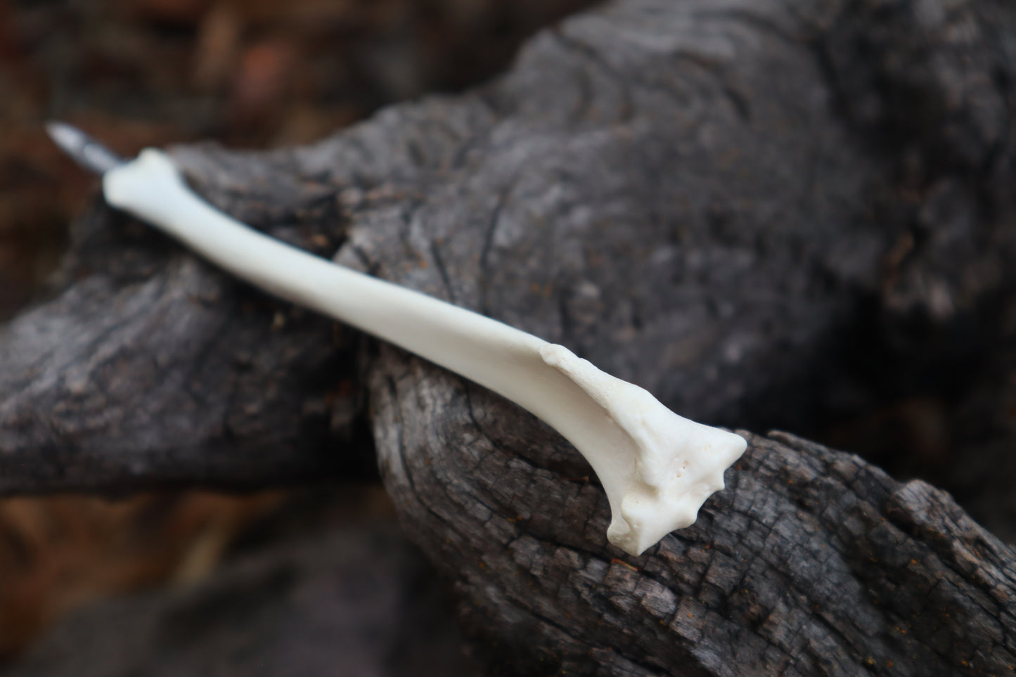 Red Fox Bone Calligraphy Pen