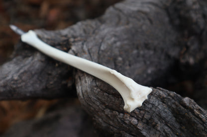 Red Fox Bone Calligraphy Pen