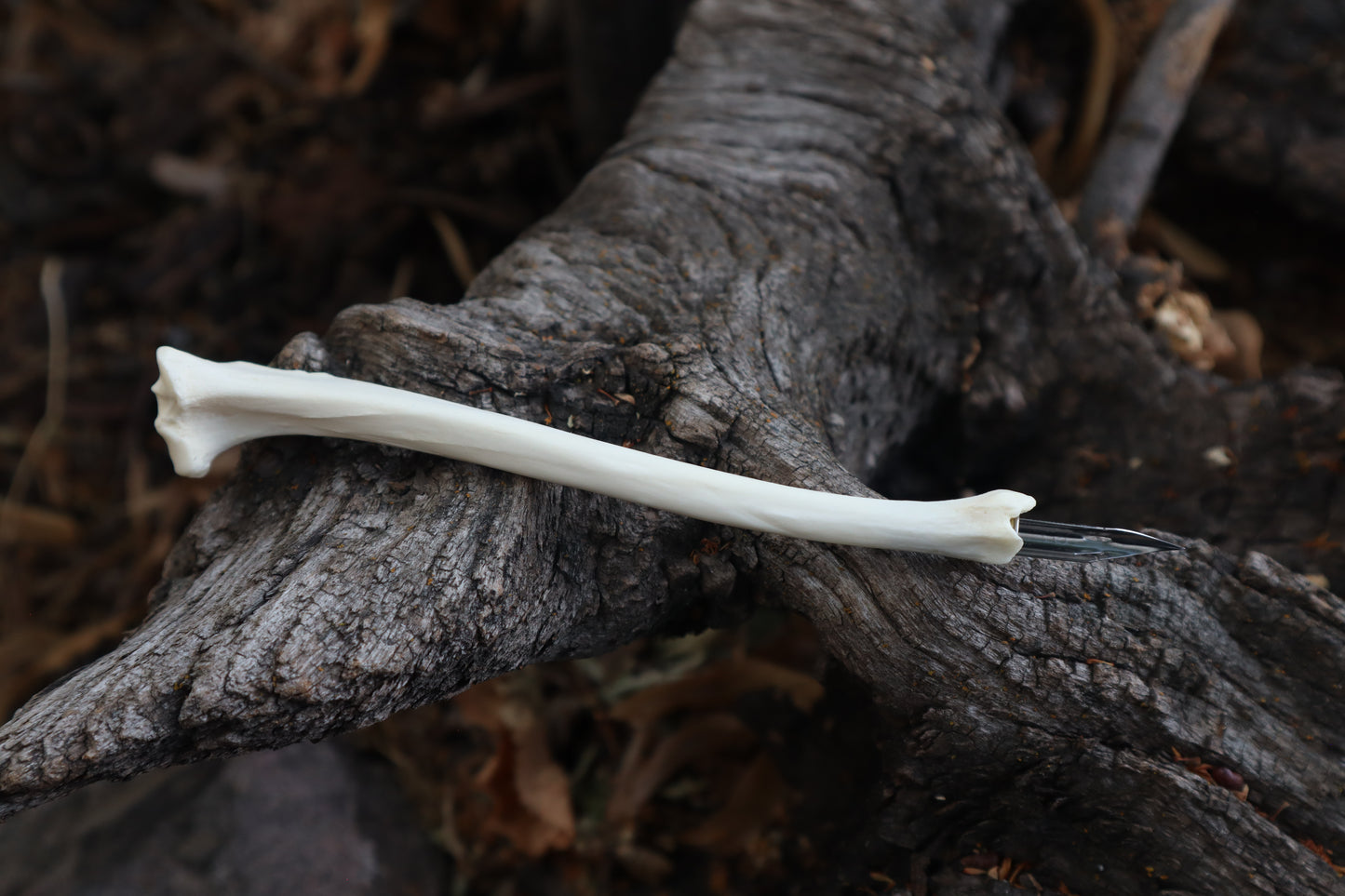 Red Fox Bone Calligraphy Pen