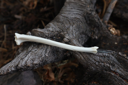 Red Fox Bone Calligraphy Pen