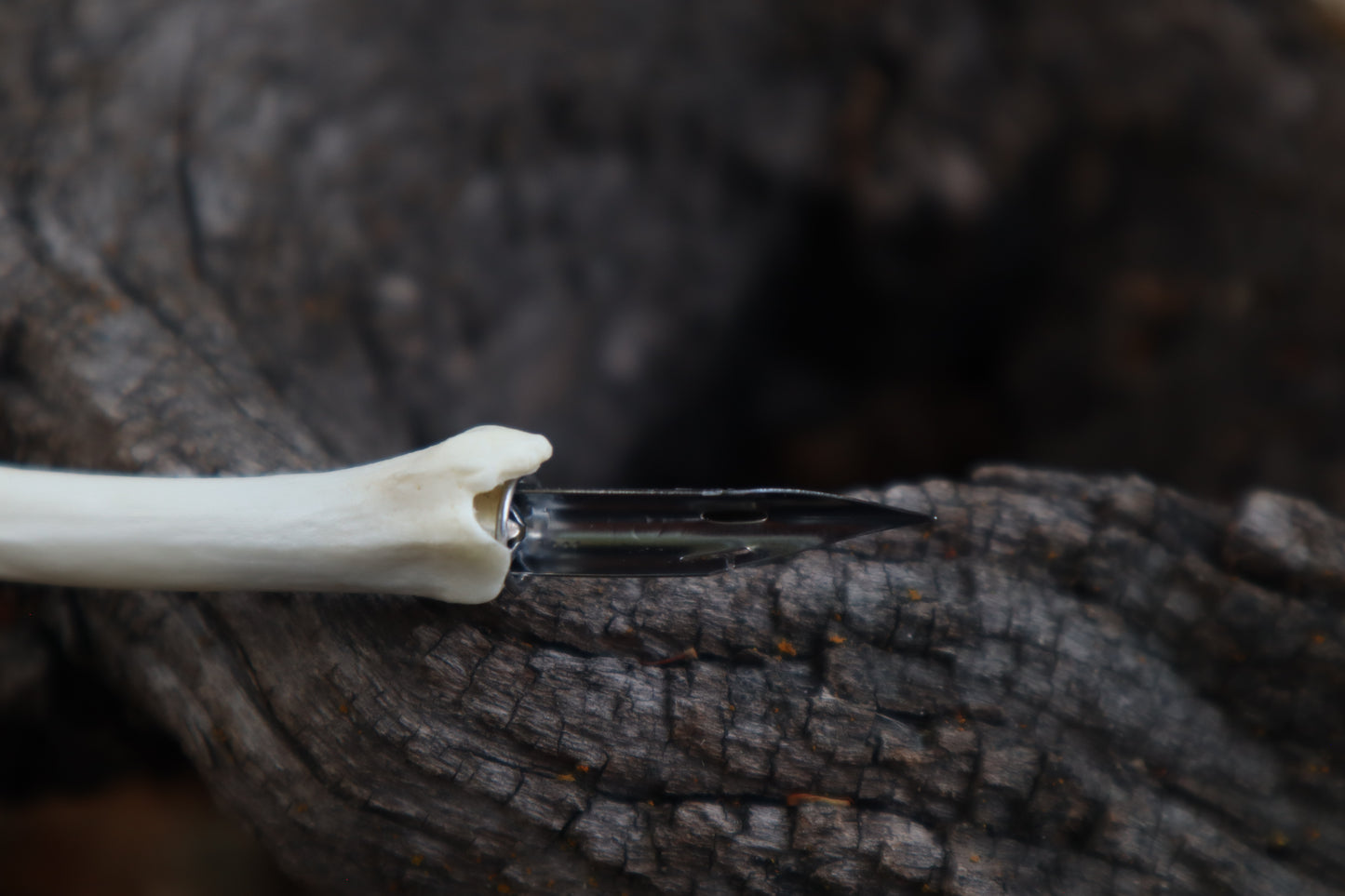 Red Fox Bone Calligraphy Pen