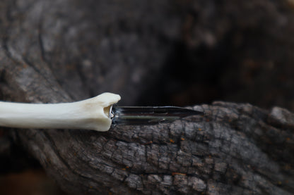 Red Fox Bone Calligraphy Pen