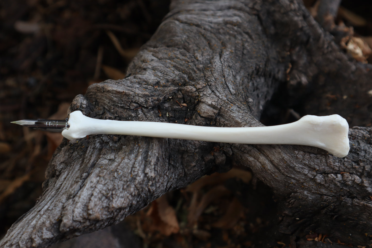 Red Fox Bone Calligraphy Pen