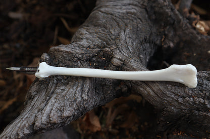 Red Fox Bone Calligraphy Pen