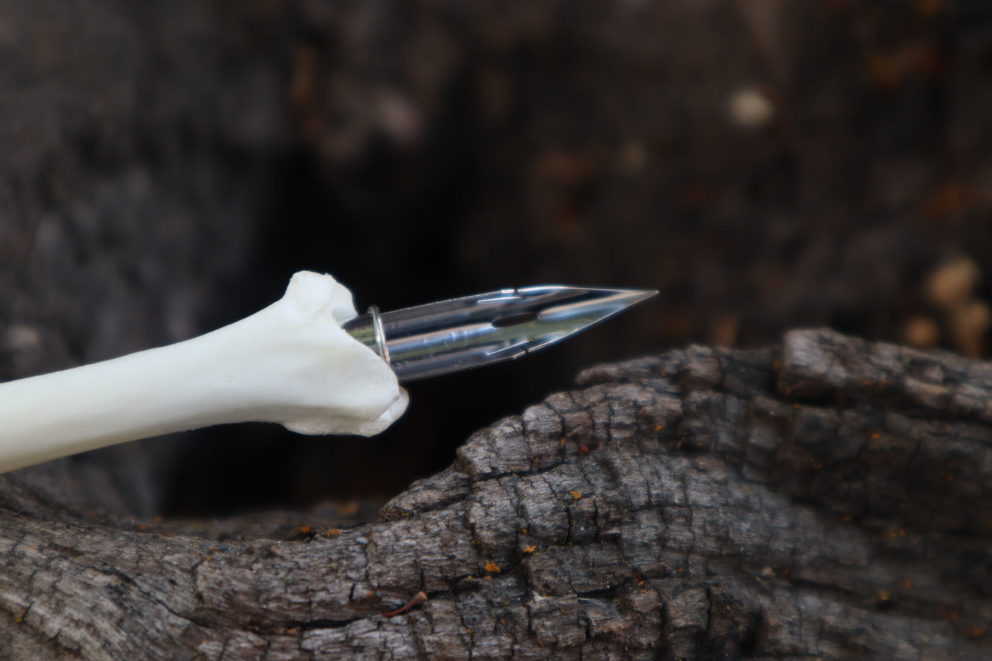 Red Fox Bone Calligraphy Pen