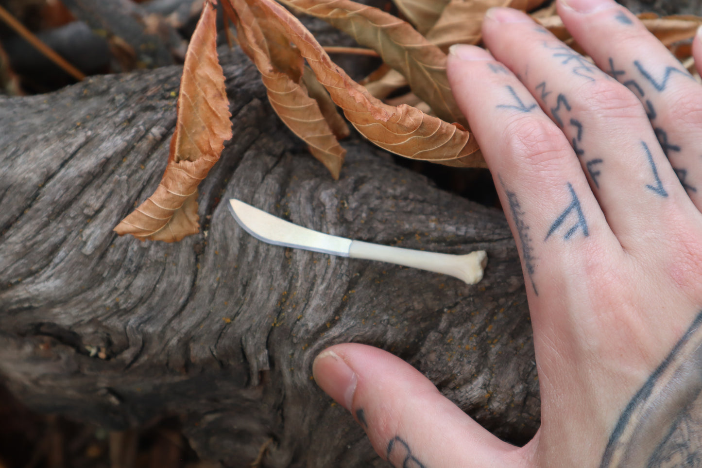Kitten Tibia Knife