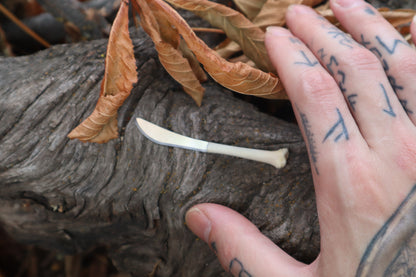 Kitten Tibia Knife