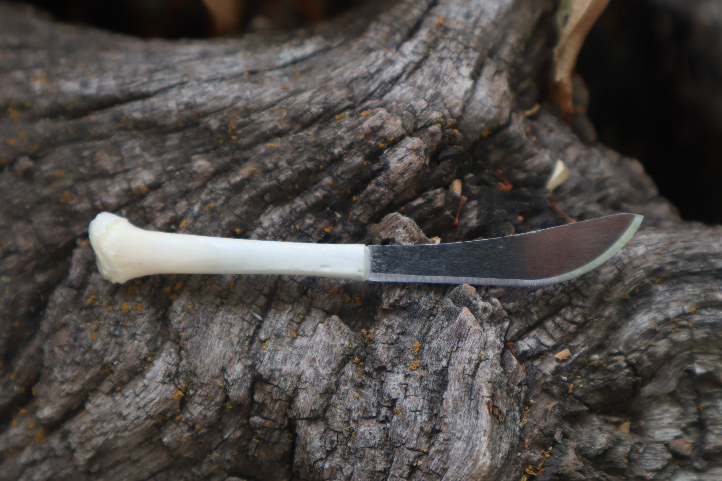 Kitten Tibia Knife