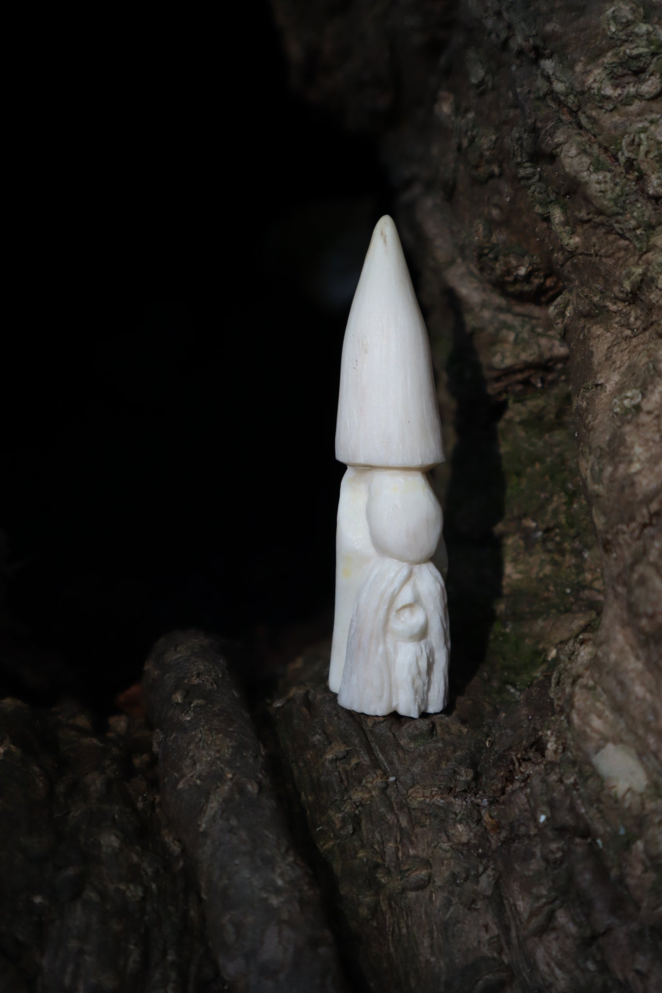 Antler Gnome