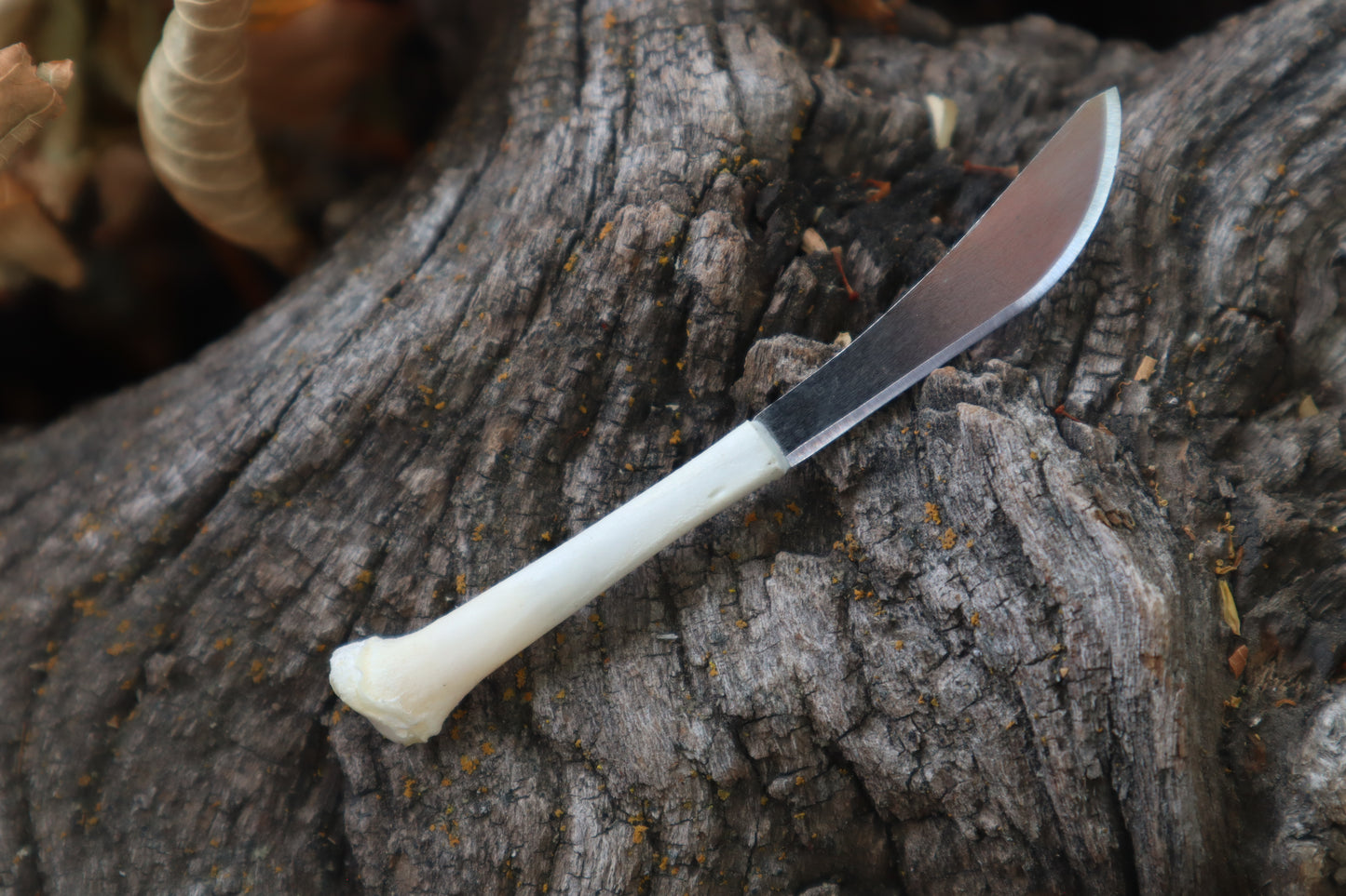 Kitten Tibia Knife