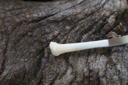 Kitten Tibia Knife
