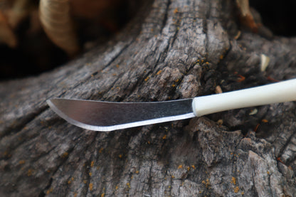 Kitten Tibia Knife