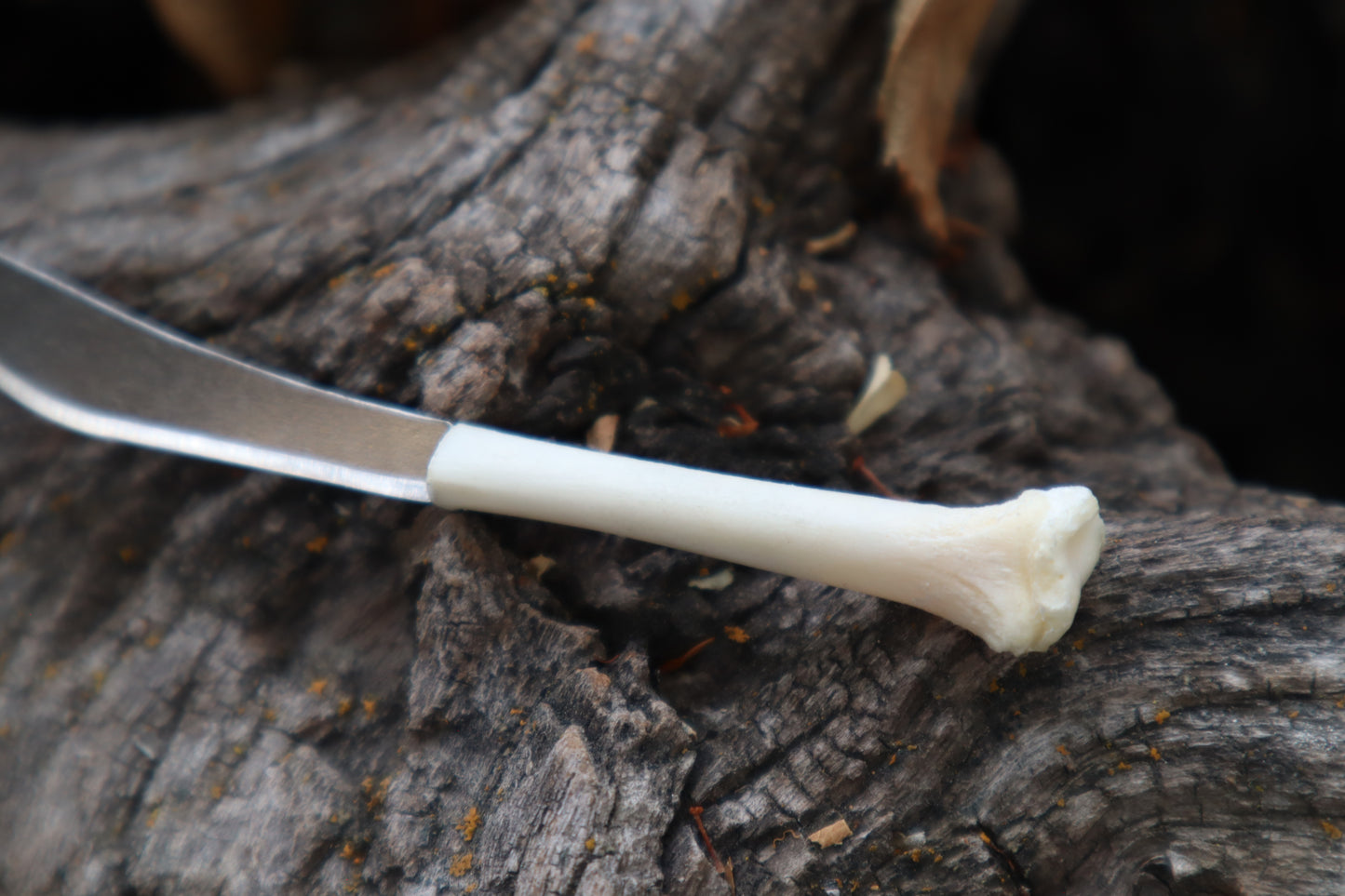 Kitten Tibia Knife