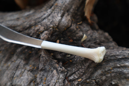 Kitten Tibia Knife