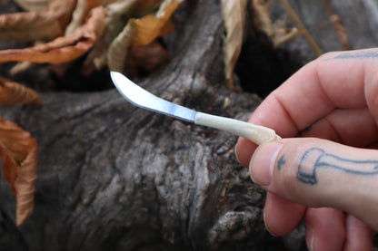 Kitten Humerus Knife