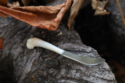 Kitten Humerus Knife