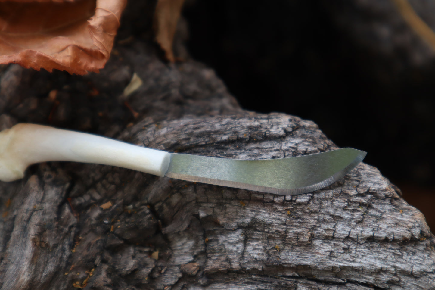 Kitten Humerus Knife