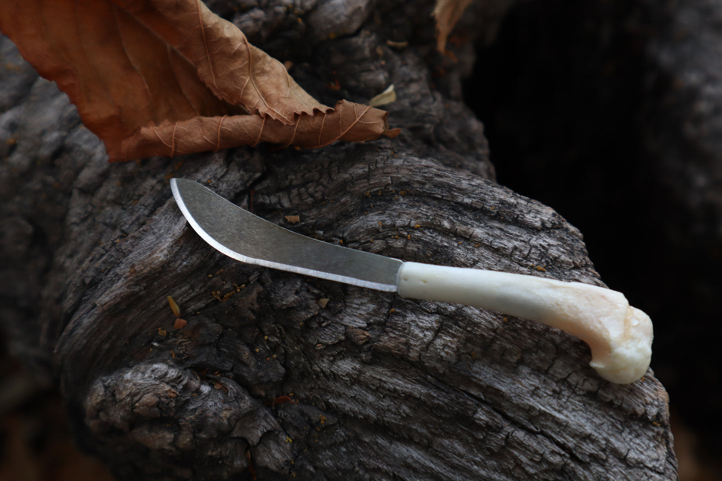 Kitten Humerus Knife