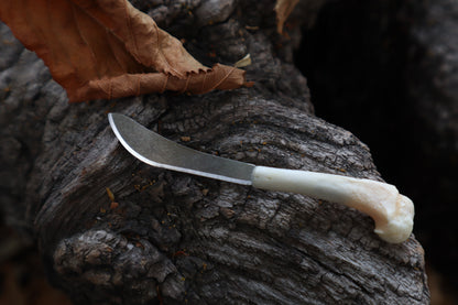 Kitten Humerus Knife