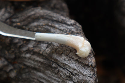 Kitten Humerus Knife