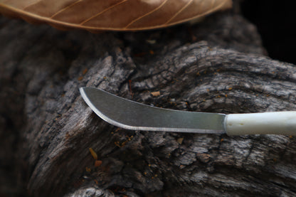 Kitten Humerus Knife