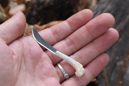 Kitten Humerus Knife