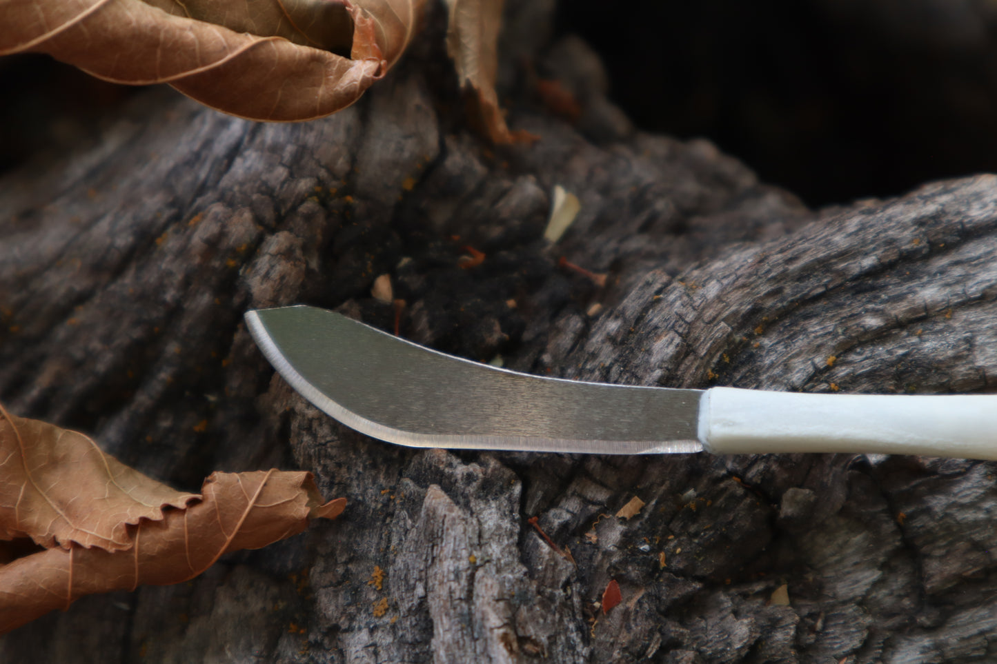 Kitten Tibia Knife