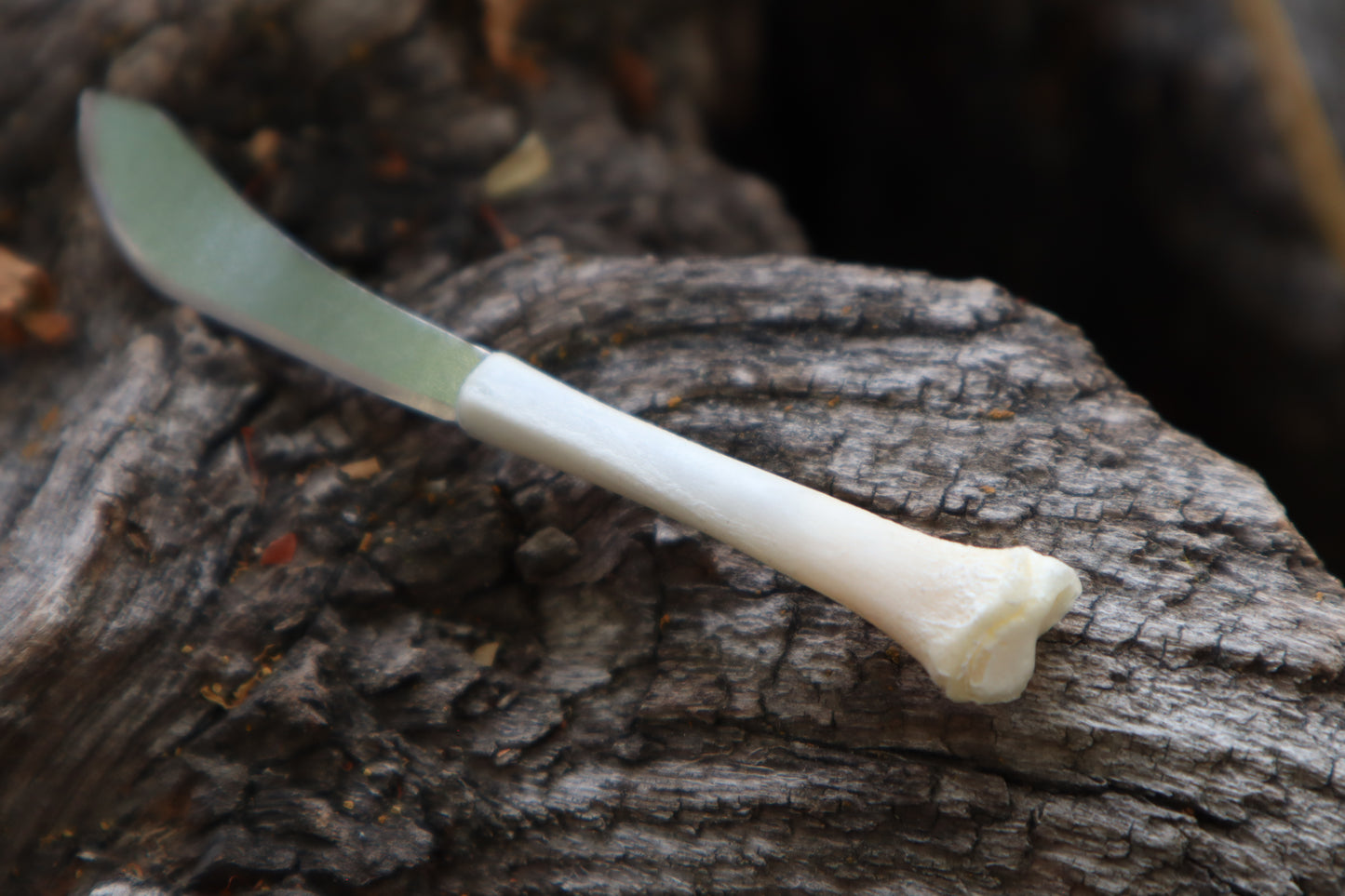 Kitten Tibia Knife
