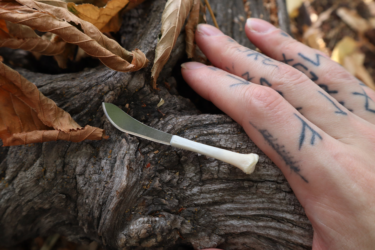 Kitten Tibia Knife