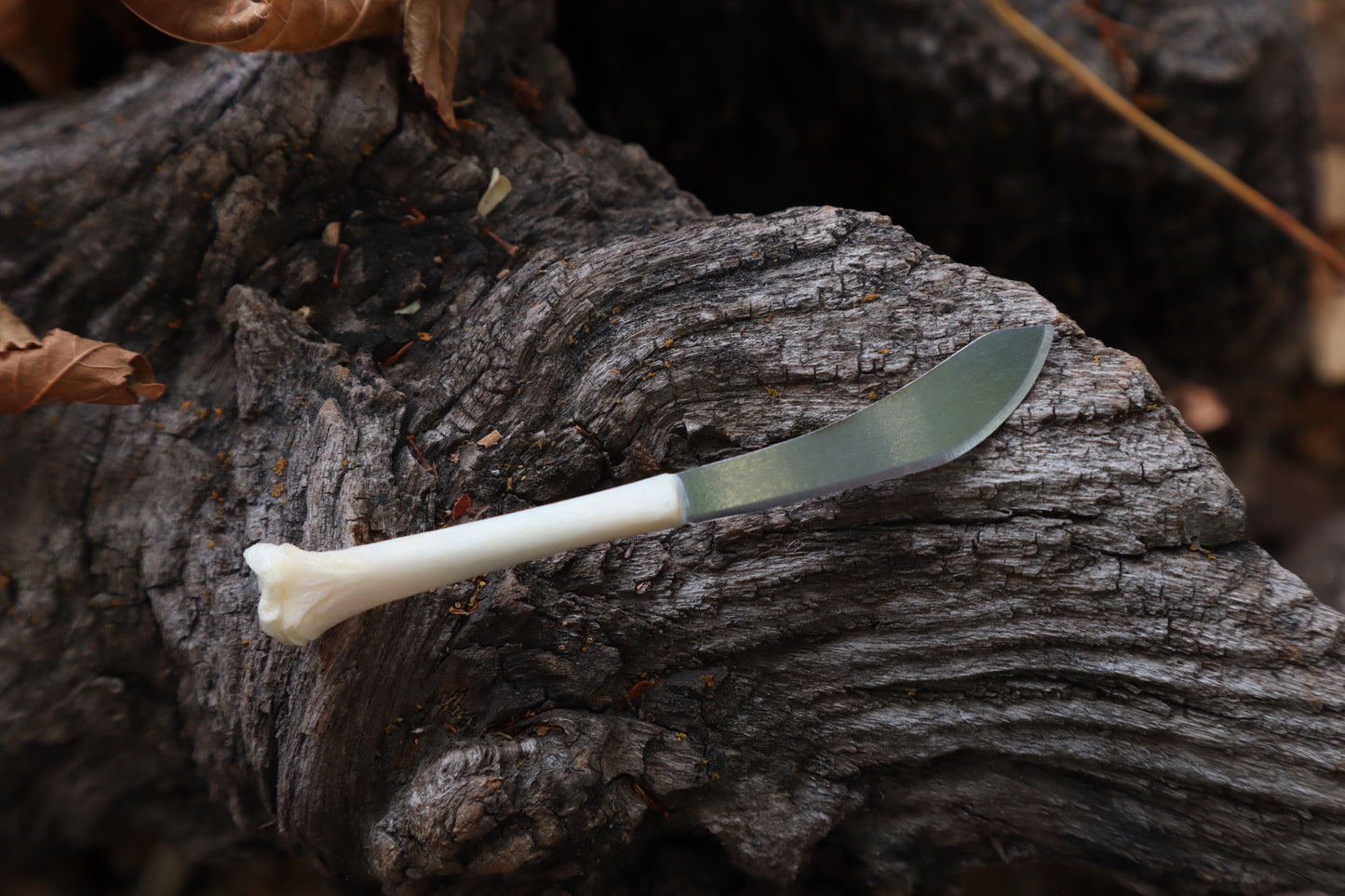 Kitten Tibia Knife