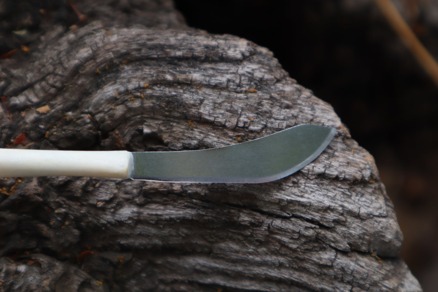Kitten Tibia Knife