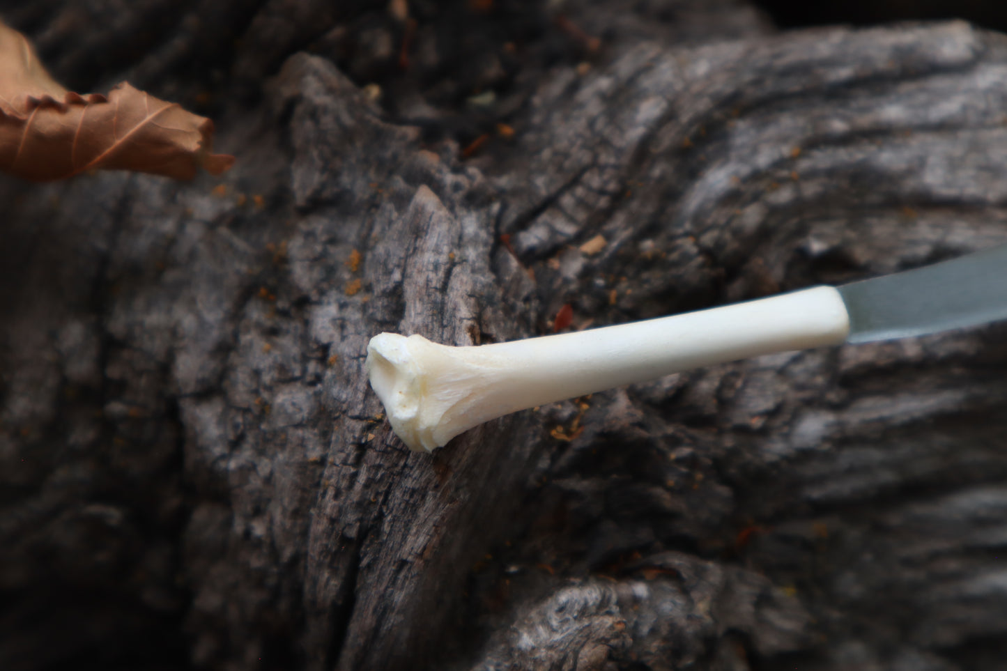 Kitten Tibia Knife