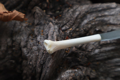 Kitten Tibia Knife