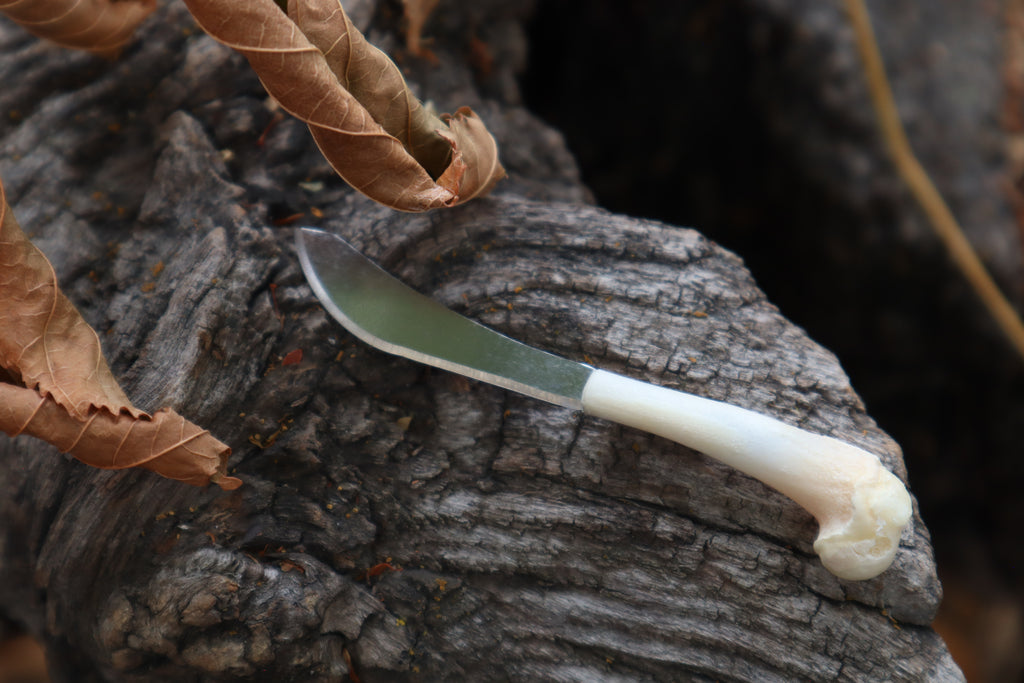 Kitten Humerus Knife