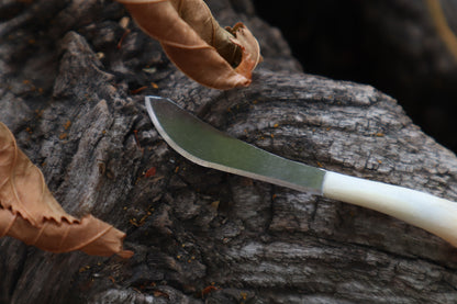 Kitten Humerus Knife