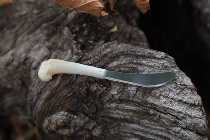 Kitten Humerus Knife
