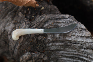 Kitten Humerus Knife