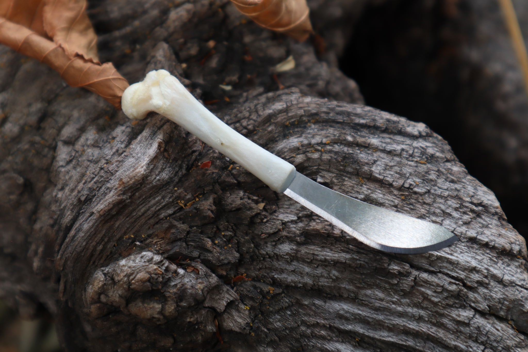 Kitten Femur Knife