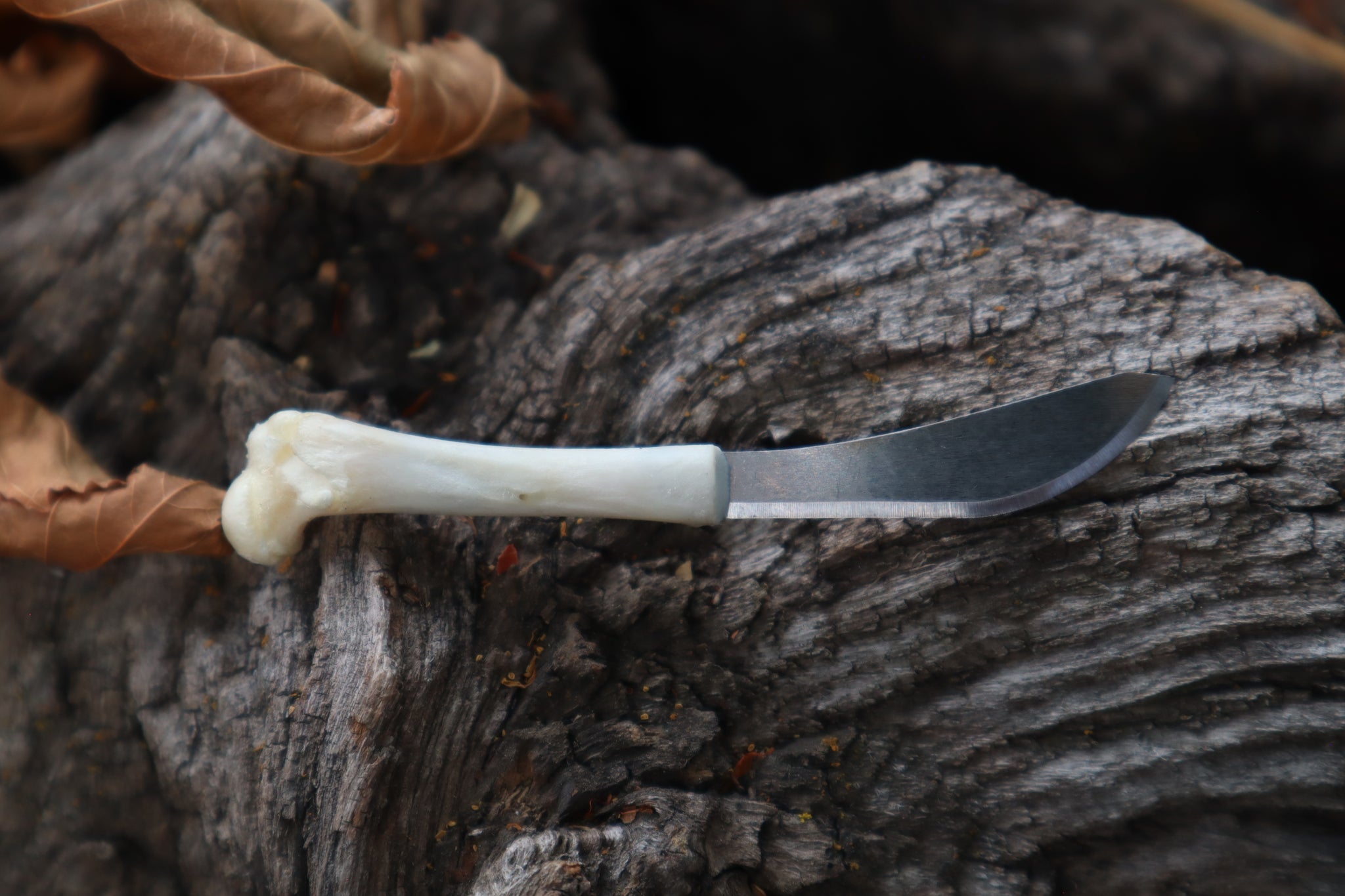 Kitten Femur Knife