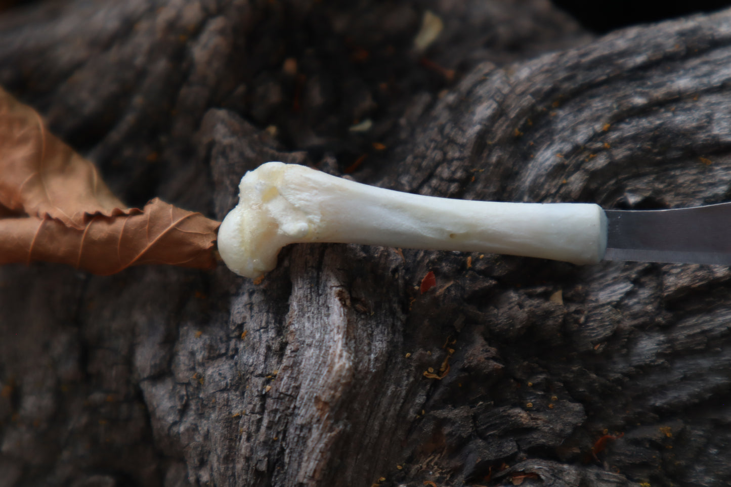 Kitten Femur Knife