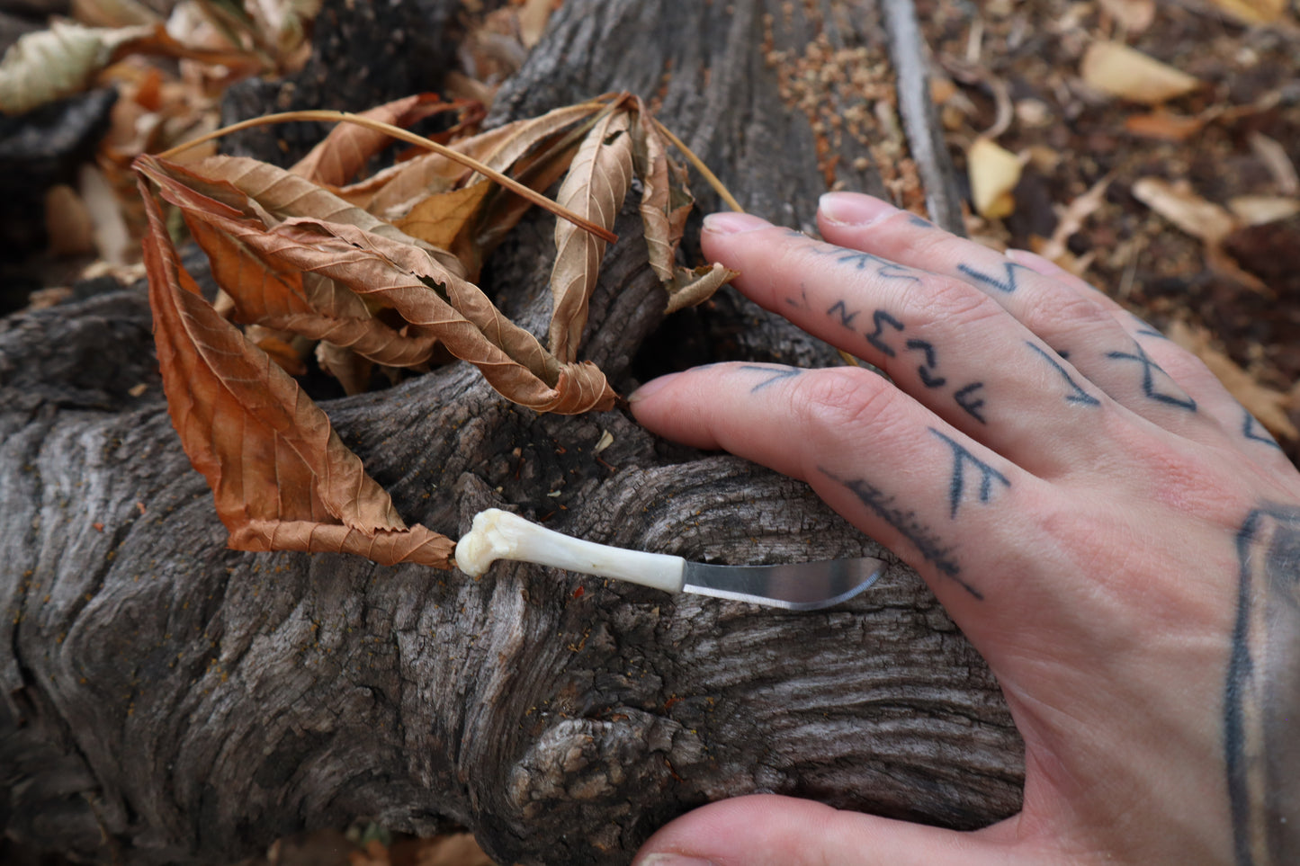 Kitten Femur Knife